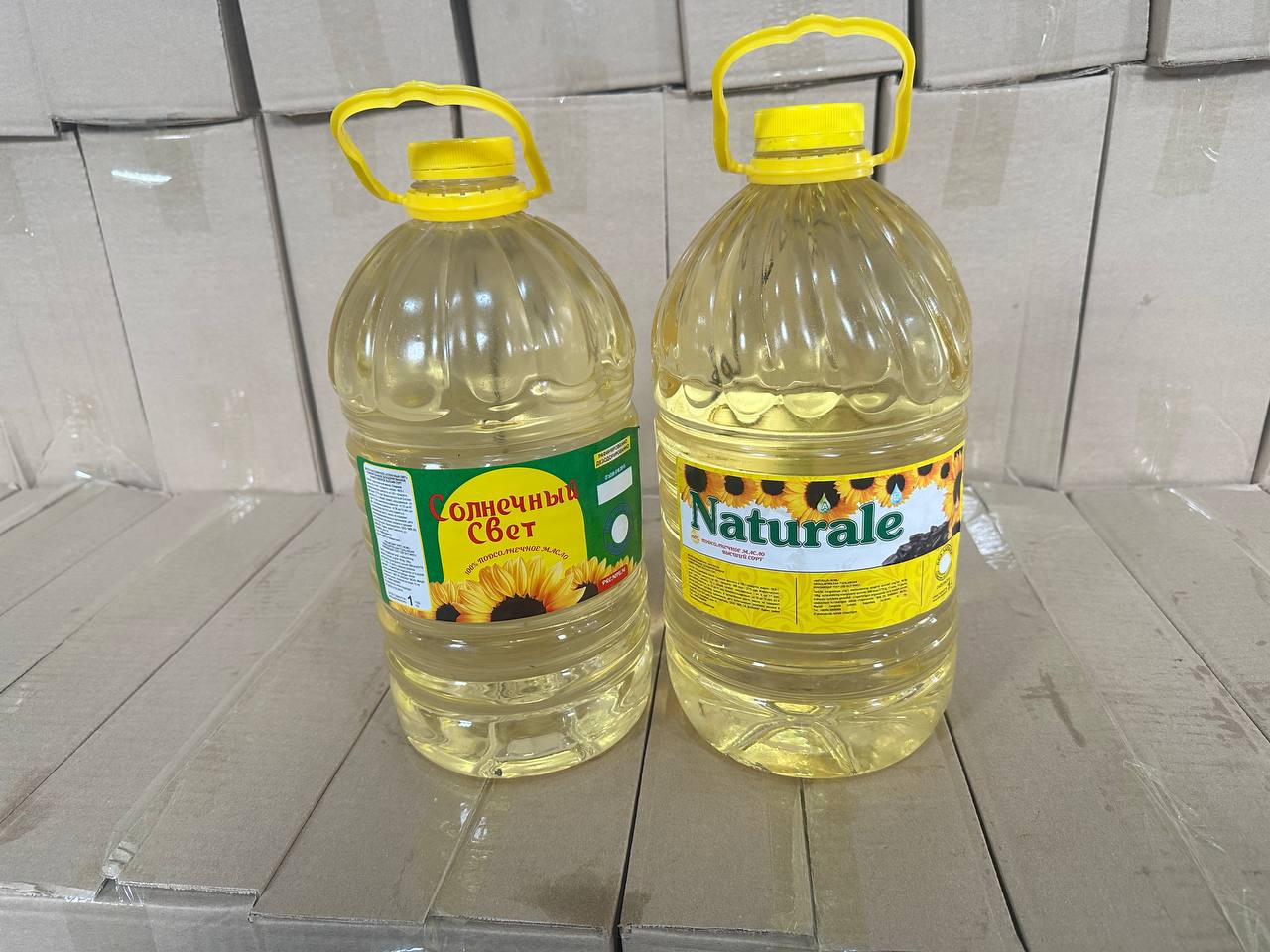Россия, Қозоғис