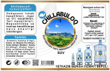 "CHILLABULOQ" б