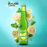 "SKYLAND" бренд