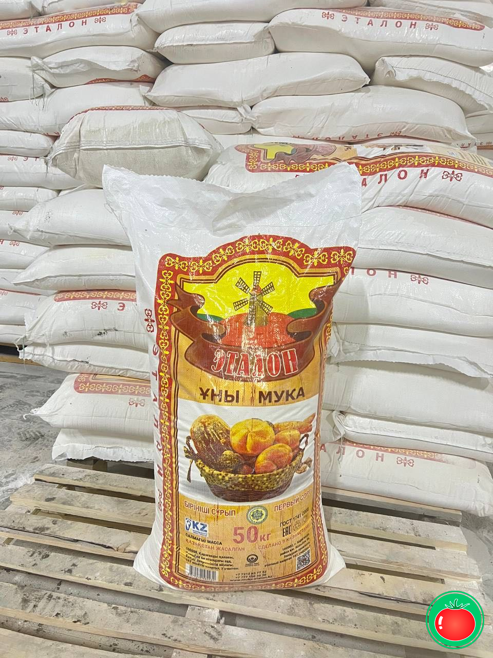 Қозоғистонда иш