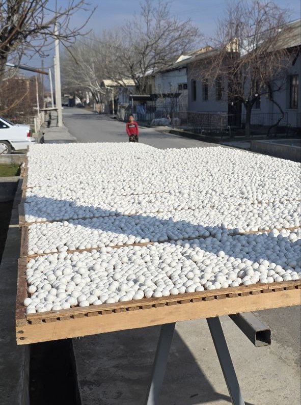 Энг мазали қуру